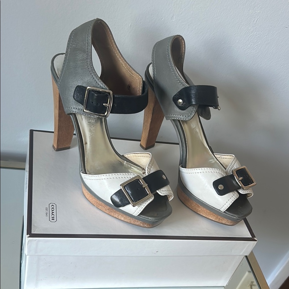 Coach chunky heels Style name Annissa Leather Thick Heels Thick straps  size 9